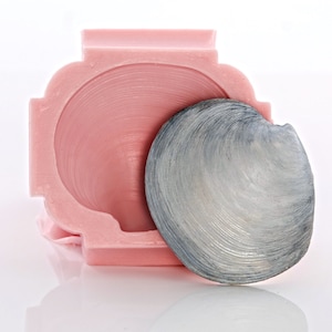 May include: A pink silicone mold shaped like a seashell with a gray seashell inside.