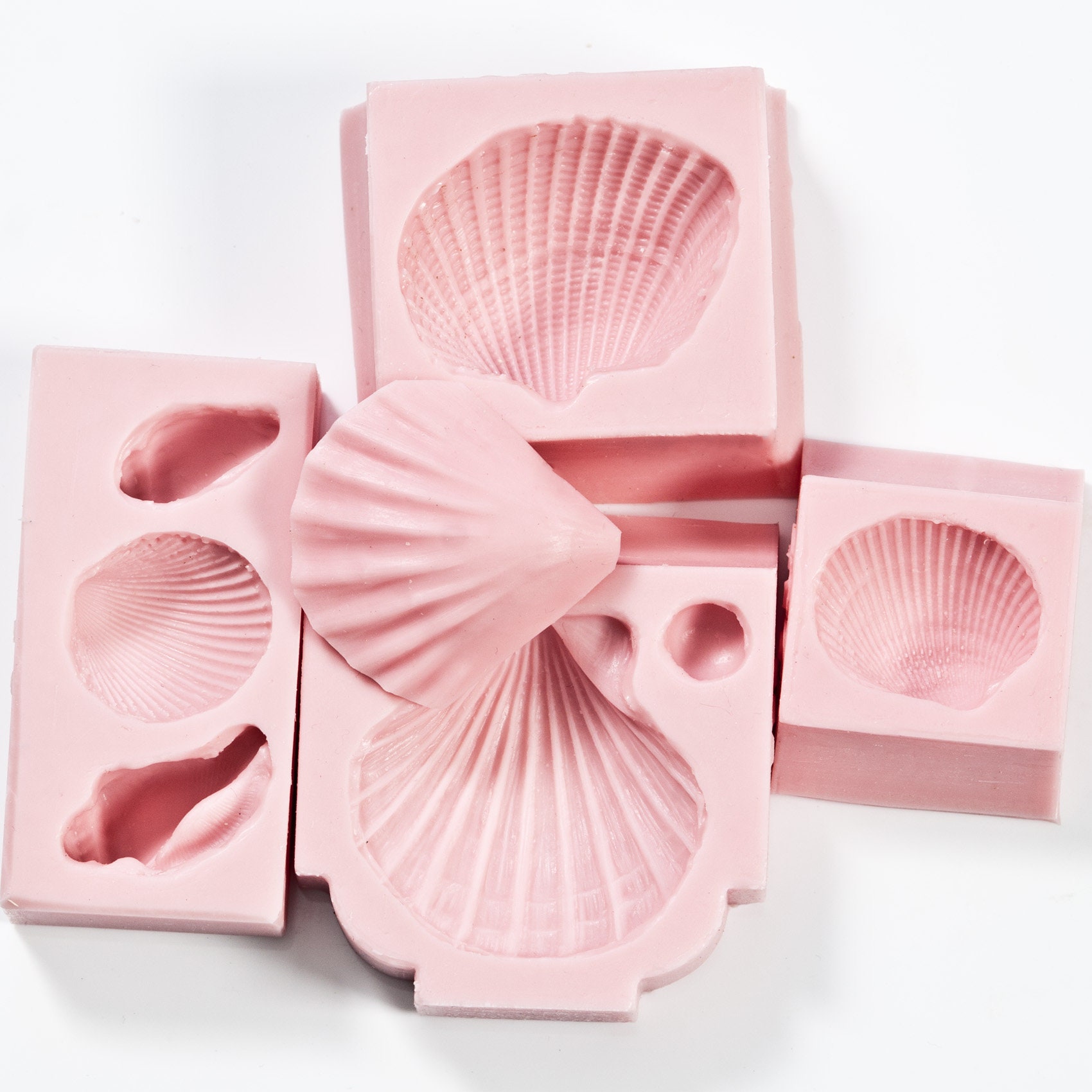 Sea Shell Mold Set - Four Silicone Molds - Fondant Sea Shell Molds ...