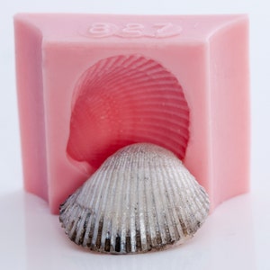 Sea shell mold makes soap, candles, resin embellishments, jewelry, paper embellishments and more. (827)