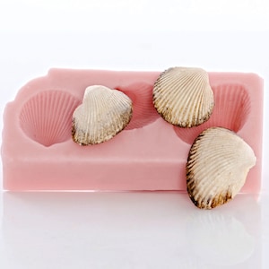 May include: A pink silicone mould featuring three seashell impressions and three seashells. The seashells are off-white with brown edges. The mould has a rectangular shape with a scalloped edge.