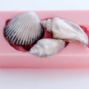 Molde de concha de mar - Tres conchas - molde de resina - molde pmc - molde de polímero - molde de arcilla - molde de silicona flexible (821)