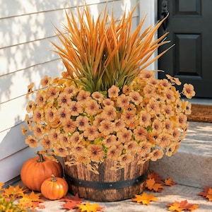May include: A wooden barrel planter filled with tall orange grass and a dense cluster of small, five-petaled orange flowers with dark brown centers and veining. Two orange pumpkins sit on the ground next to the planter.