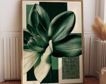 Amaryllis Flower Poster | Sage Green Botanical Print | Mid Century Modern Wall Art | Framed Print