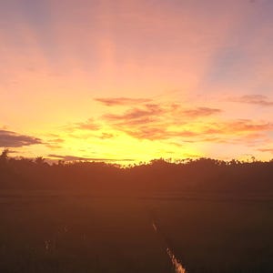 Könnte beinhalten: Ein lebendiger Sonnenuntergangshimmel mit Farbverläufen aus hellem Gelb, sanftem Orange und blassen Violetttönen über einer dunklen, silhouettierten Landschaft aus hügeligem Gelände und flachen Feldern. Das Licht strahlt vom Horizont aus.