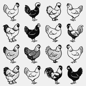 May include: A collection of sixteen black and white illustrations of chickens arranged in a four-by-four grid. Each chicken is depicted in a distinct pose and plumage pattern, showcasing various breeds with different feather textures and body shapes.