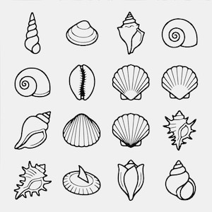 May include: A collection of sixteen distinct black and white line art illustrations of various seashells arranged in a four-by-four grid. The set includes spiral shells, bivalves, conch shells, and cowrie shells, all rendered with clean outlines.