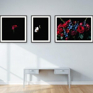Conjunto de láminas para pared "Night Garden" / Arte floral asistido por IA, conjunto de 3 láminas digitales / Descarga digital de láminas para pared en tamaños A4, A3 y A2. imagen 4