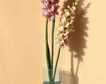 May include: Two tall stalks of flowers in a clear cylindrical glass vase filled with water. One flower stalk features dusty pink, ruffled petals, while the other displays pale cream-coloured blossoms. Both have long, slender green stems.