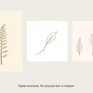 Line and Leaf Botanical Print Set | AI-Assisted Fern, Ivy, Pressed Leaves (Digital Download) image 1