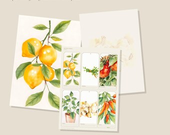 Druckbares Junk-Journal-Set für den Küchen- und Gartenbereich | A4- und US-Letter-Papier und -Materialien | AI Art