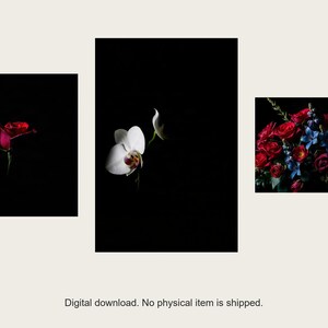 Conjunto de láminas para pared "Night Garden" / Arte floral asistido por IA, conjunto de 3 láminas digitales / Descarga digital de láminas para pared en tamaños A4, A3 y A2. imagen 1
