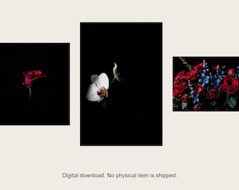 Night Garden Gallery Wall Set of 3 | AI-Assisted Floral Art (Digital Download)