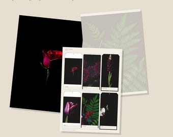 Druckbares Junk-Journal-Set „Nachtgarten“ | A4- und US-Letter-Papier und -Materialien | AI Art