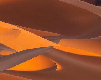 May include: A vast desert landscape featuring rolling orange sand dunes with smooth, wind-swept surfaces. The scene is illuminated by warm, golden sunlight that creates sharp contrasts between the bright highlights and deep, dark shadows.