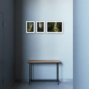 Wandbild-Set „Alter Wald“ | KI-gestützte Waldkunst (Digitaler Download) Bild 4