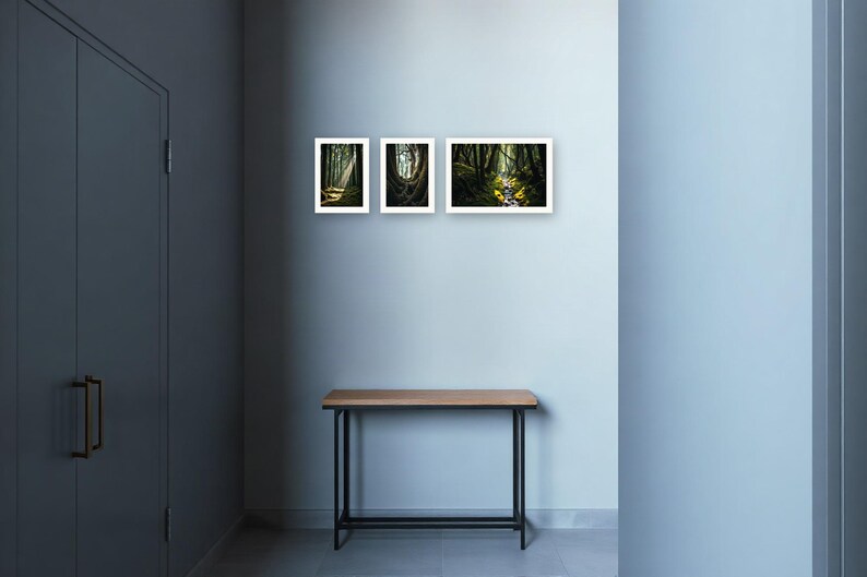 Wandbild-Set „Alter Wald“ | KI-gestützte Waldkunst (Digitaler Download) Bild 4