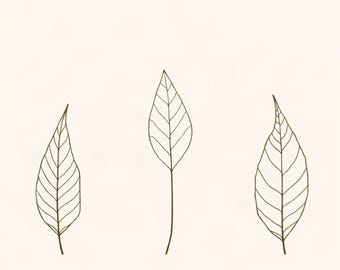 May include: Three brown line art illustrations of leaves arranged horizontally against a solid off-white background. Each leaf features a central stem with symmetrical veins extending outward, rendered in a simple, clean, and thin brown outline.