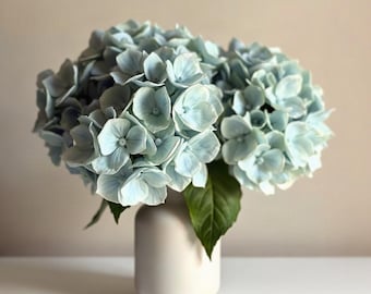 May include: A cluster of pale blue hydrangea flowers with soft, rounded petals arranged in a dense, spherical shape. A single dark green leaf extends from the base of the blooms, which are held in a smooth, matte, off-white cylindrical ceramic vase.