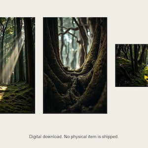 Wandbild-Set „Alter Wald“ | KI-gestützte Waldkunst (Digitaler Download) Bild 1