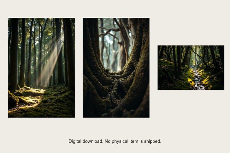 Wandbild-Set „Alter Wald“ | KI-gestützte Waldkunst (Digitaler Download) Bild 1