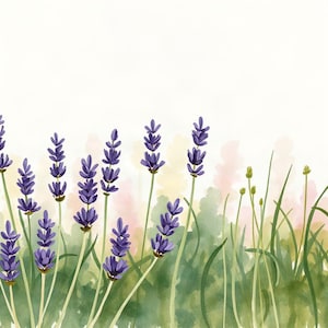 Lavender Margin | AI-Assisted Botanical Art, Watercolour-Look, Meadow Study, Wildflower Margins (Digital Download) image 1