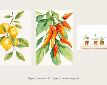 Può includere: Un set di tre illustrazioni ad acquerello raffiguranti un ramo con limoni giallo brillante e foglie verdi, un grappolo di peperoncini arancioni vivaci su uno stelo frondoso e tre piccole piante in vaso posizionate su una mensola stretta.