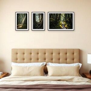 Wandbild-Set „Alter Wald“ | KI-gestützte Waldkunst (Digitaler Download) Bild 3
