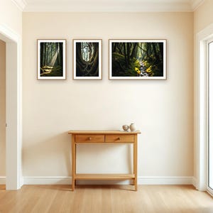 Wandbild-Set „Alter Wald“ | KI-gestützte Waldkunst (Digitaler Download) Bild 2