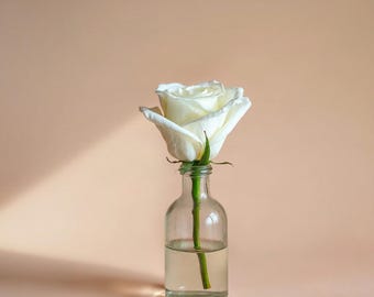 May include: A single white rose with a green stem placed inside a clear glass bottle filled with water. The rose petals are fully bloomed and soft in appearance, while the glass bottle has a narrow neck and a rounded base, reflecting light.