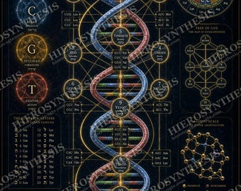 Impressão da Árvore da Vida do DNA, Gráfico de Geometria Sagrada da Biologia, Arte de Parede da Cabala e Ciência Esotérica (Digital, Pôster, Emoldurado)