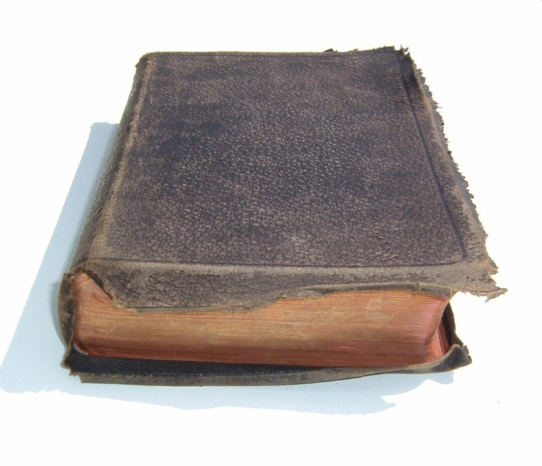 見事な創造力 il_1080xN.496320937_ka1o.jpg 洋書