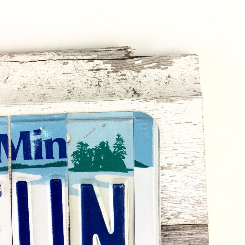 License Plate Sign Lake Fun Sign Minnesota Lake Fun Blue and White Sign Reclaimed Wood Sign Reclaimed Metal Sign Lake Cabin Sign image 4