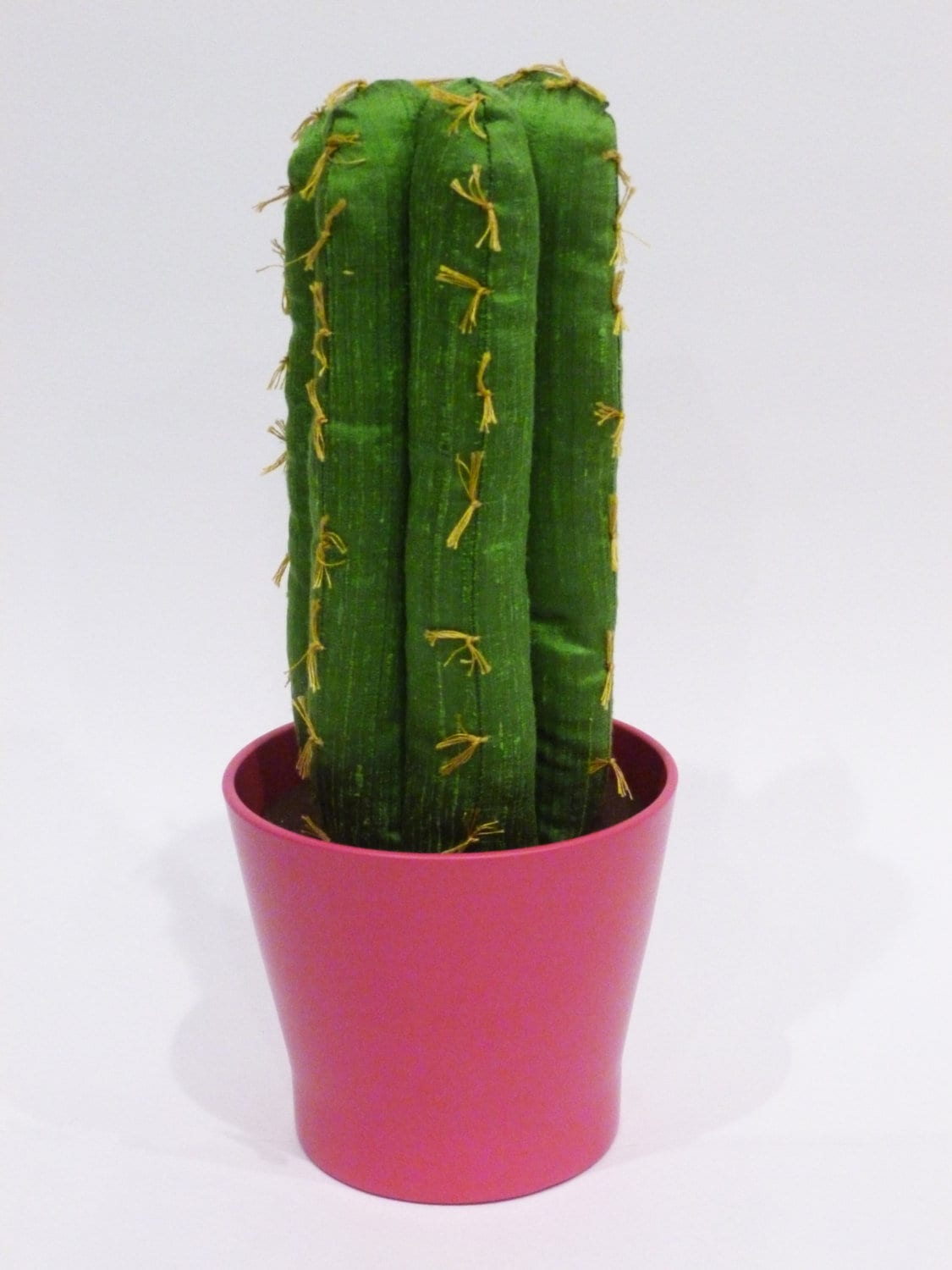 San pedro cactus plant - Etsy 日本