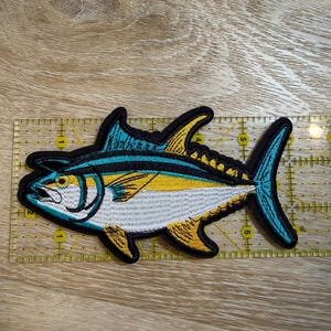 大きな魚群：