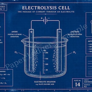 Op de afbeelding: Een blauw-witte technische blauwdrukillustratie getiteld Electrolysis Cell. Het toont een bekerglas met twee elektroden, chemische vergelijkingen en labels voor anode, kathode en elektrolytoplossing in een wetenschappelijk diagramformaat.