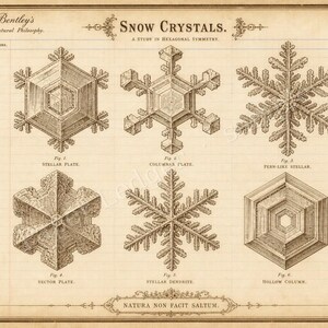 May include: A vintage-style scientific print titled Snow Crystals, A Study in Hexagonal Symmetry. It features six detailed brown ink illustrations of various snowflake structures labeled Fig. 1 through Fig. 6, with handwritten notes and diagrams on a beige paper background.