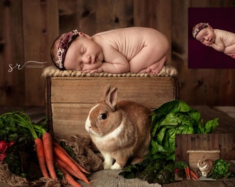 INSTANT DOWNLOAD - Spring Lullabies - Newborn Digital Backdrops for Ps & PSE - Digital Backgrounds - Photoshop - Photoshop Composites