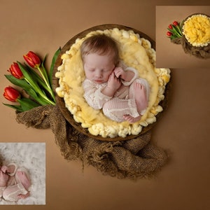 INSTANT DOWNLOAD - Spring Lullabies - Newborn Digital Backdrops for Ps & PSE - Digital Backgrounds - Photoshop - Photoshop Composites