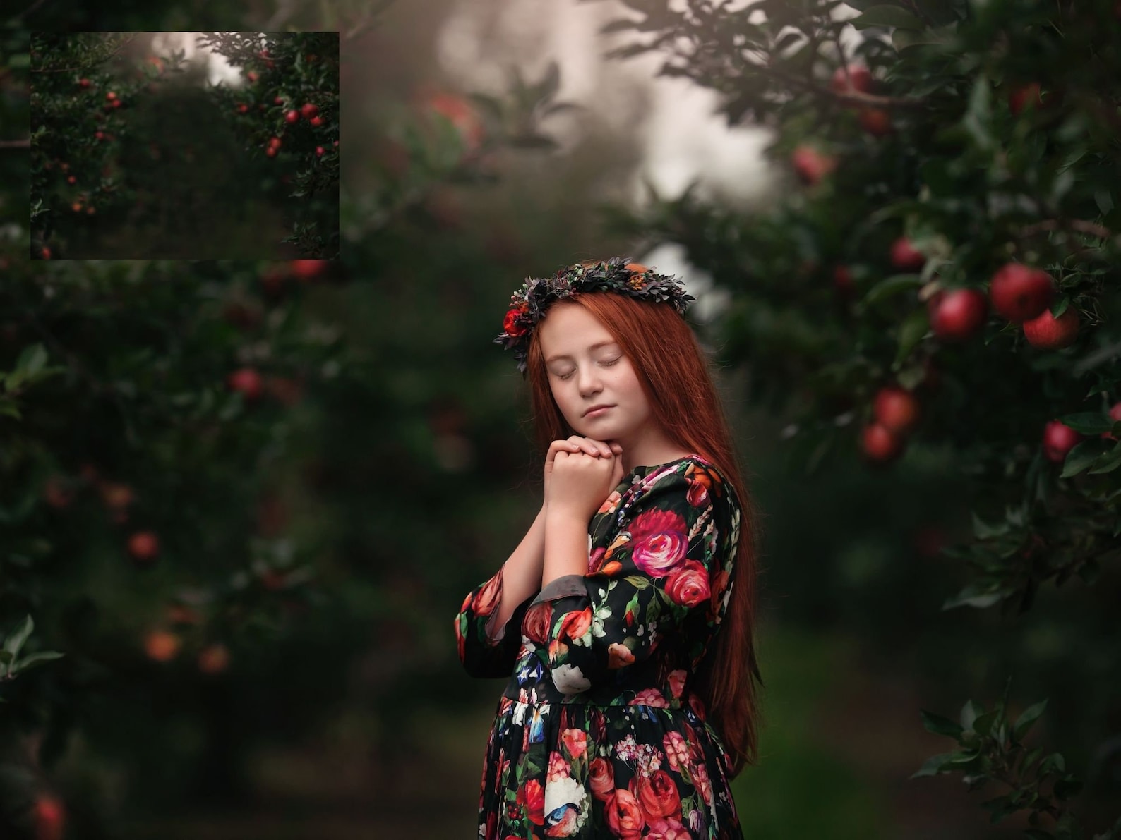 INSTANT DOWNLOAD: Apple Orchard Digital Background for Ps & | Etsy