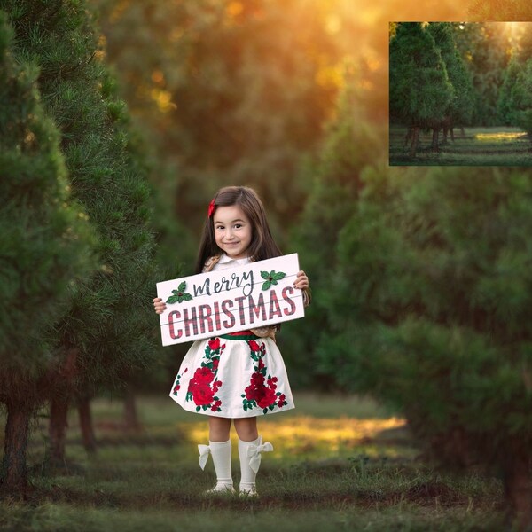INSTANT DOWNLOAD - Christmas Tree Farm Digital Background for PS & Pse- Digital Background - Ps Composites -Tree Farm Digital Background