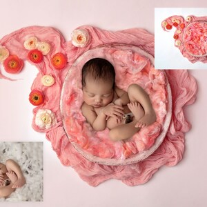 INSTANT DOWNLOAD - Spring Lullabies - Newborn Digital Backdrops for Ps & PSE - Digital Backgrounds - Photoshop - Photoshop Composites