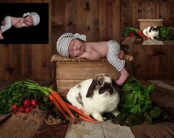 INSTANT DOWNLOAD - Spring Lullabies - Newborn Digital Backdrops for Ps & PSE - Digital Backgrounds - Photoshop - Photoshop Composites
