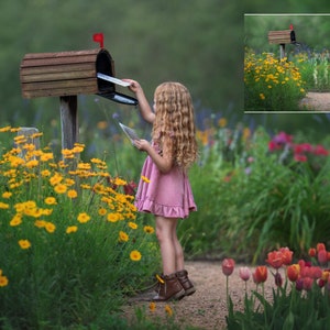 INSTANT DOWNLOAD - Garden Mailbox Digital Backdrop - Digital Background for PS & PSe - Digital Backdrop -  Photoshop Composite