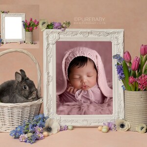 INSTANT DOWNLOAD - Spring Frame Digital Background for PS & Pse- Digital Backdrops - Ps Composites - Spring Digital Backdrops