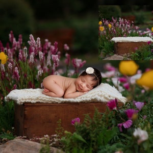 May include: A newborn baby girl sleeping on a white blanket on a wooden box in a field of pink and yellow flowers.