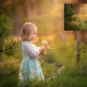INSTANT DOWNLOAD- - Spring In The Forest - Spring Digital Background for Ps & Pse - Digital Backdrop - Photoshop - Photoshop Composite