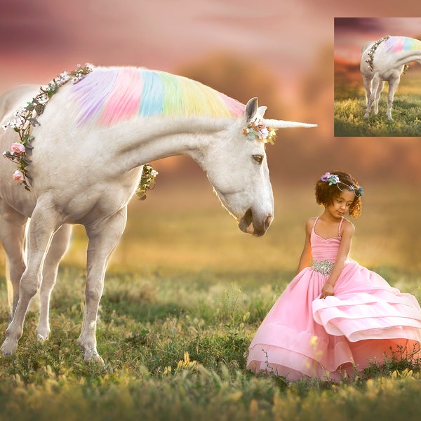 INSTANT DOWNLOAD-Unicorn Dream- Unicorn & Horse Digital Background for Ps and Pse-Unicorn Digital Backdrop - Photoshop Composites