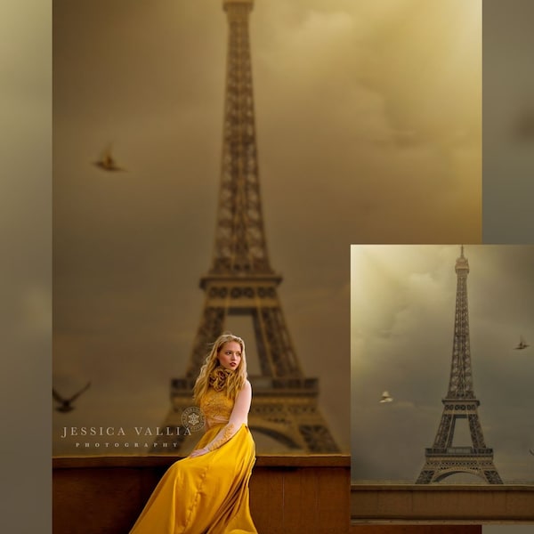 INSTANT DOWNLOAD- Paris- Paris Digital Background for Ps and Pse-Paris Digital Backdrop - Digital Backgrounds- Photoshop Composites