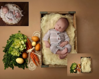 INSTANT DOWNLOAD - Spring Lullabies - Newborn Digital Backdrops for Ps & PSE - Digital Backgrounds - Photoshop - Photoshop Composites