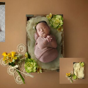INSTANT DOWNLOAD - Spring Lullabies - Newborn Digital Backdrops for Ps & PSE - Digital Backgrounds - Photoshop - Photoshop Composites